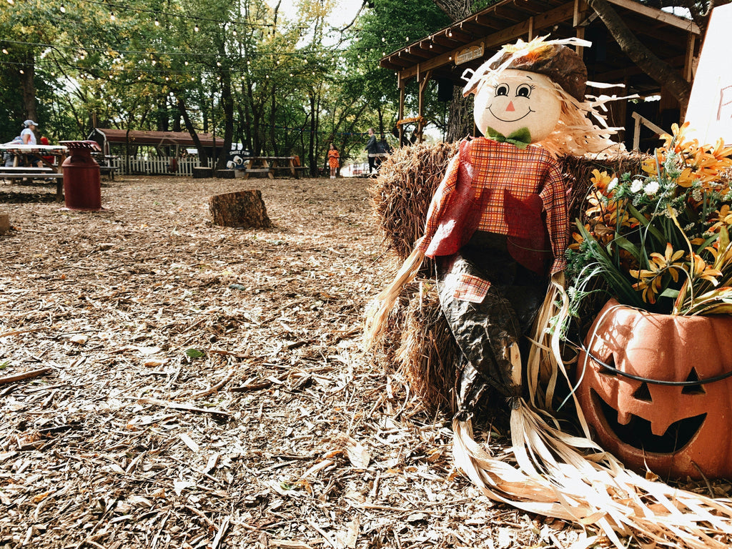 Festive Fun October Roundup